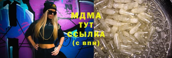 spice Богородицк